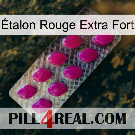Étalon Rouge Extra Fort 09